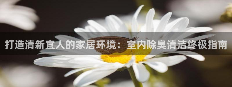 尊龙凯时官网：打造清新宜人的家居环境：室内除臭清洁终极指