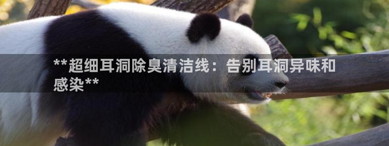 尊龙官网手:**超细耳洞除臭清洁线:告别耳洞异味和
感染**